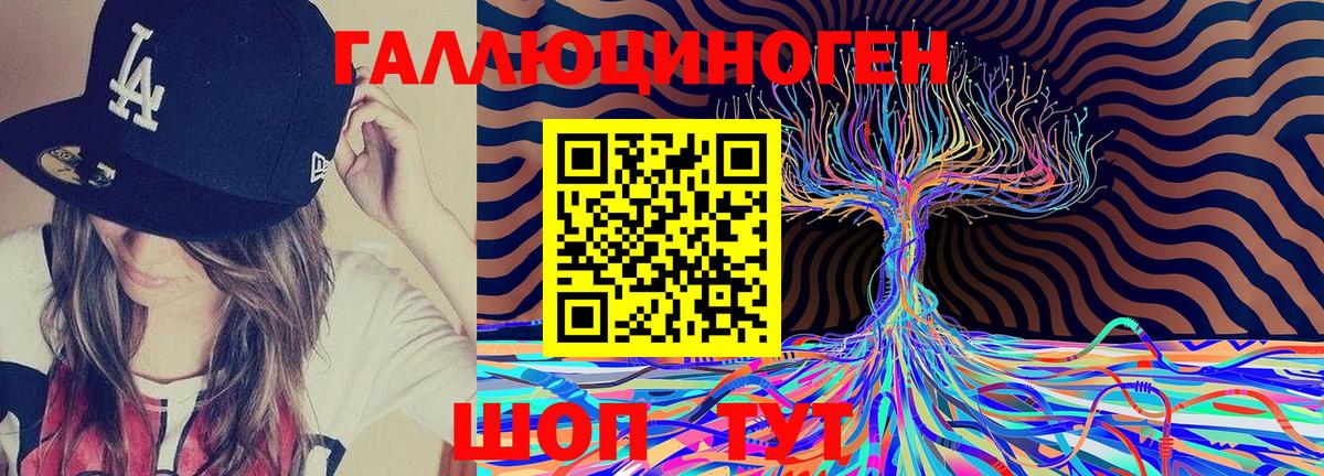 дарнет шоп  Галлюциногенные грибы прущие грибы  Вход с VPN  Галлюциногенные грибы GOLDEN TEACHER  Чита 
