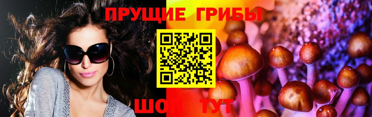 Псилоцибиновые грибы MAGIC MUSHROOMS Чита